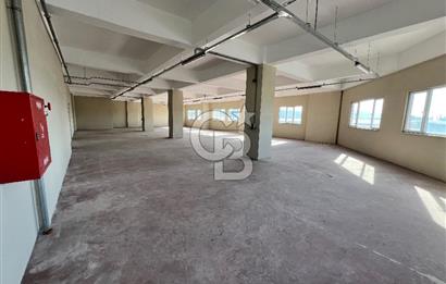 BURSA, GEMLİK SERBEST BÖLGE'de SATILIK FABRİKA, ÜRETİM TESİSİ