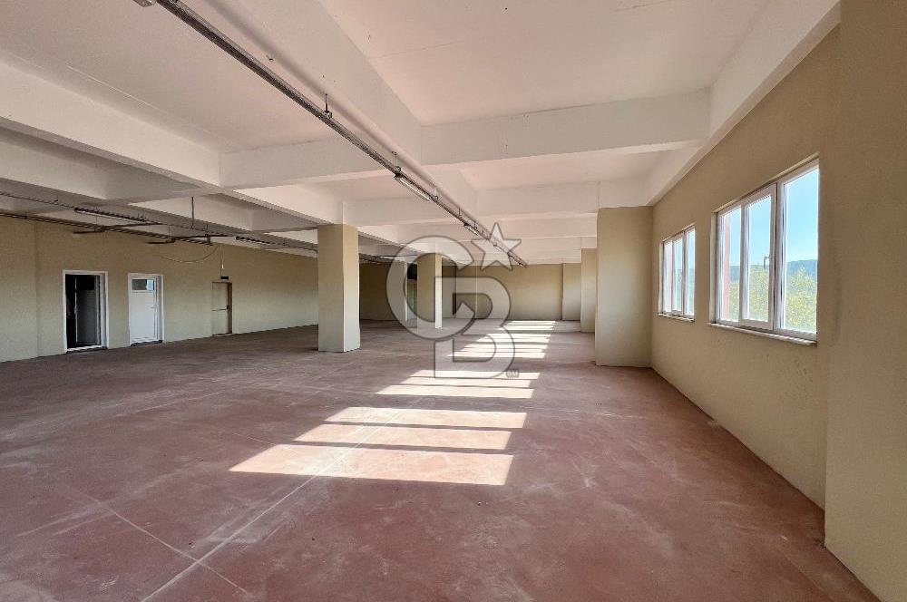 BURSA, GEMLİK SERBEST BÖLGE'de SATILIK FABRİKA, ÜRETİM TESİSİ