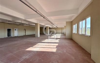 BURSA, GEMLİK SERBEST BÖLGE'de SATILIK FABRİKA, ÜRETİM TESİSİ