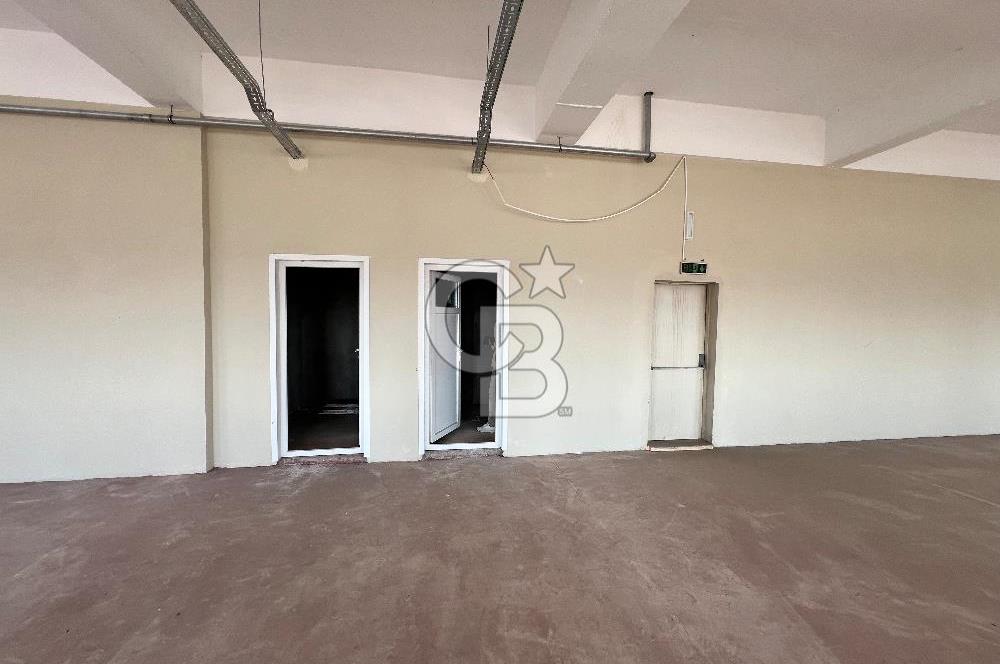 BURSA, GEMLİK SERBEST BÖLGE'de SATILIK FABRİKA, ÜRETİM TESİSİ