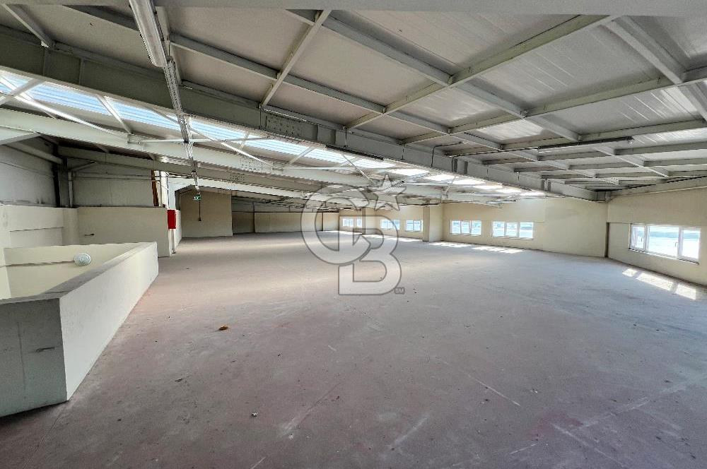 BURSA, GEMLİK SERBEST BÖLGE'de SATILIK FABRİKA, ÜRETİM TESİSİ