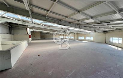 BURSA, GEMLİK SERBEST BÖLGE'de SATILIK FABRİKA, ÜRETİM TESİSİ