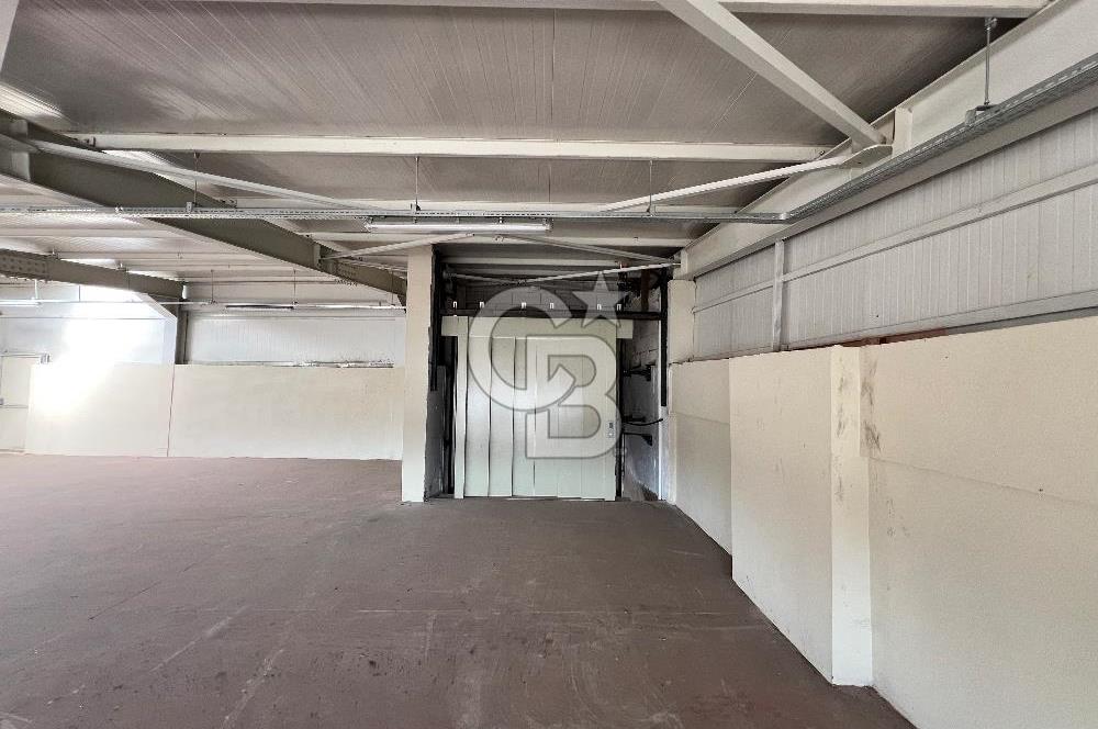 BURSA, GEMLİK SERBEST BÖLGE'de SATILIK FABRİKA, ÜRETİM TESİSİ