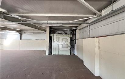 BURSA, GEMLİK SERBEST BÖLGE'de SATILIK FABRİKA, ÜRETİM TESİSİ