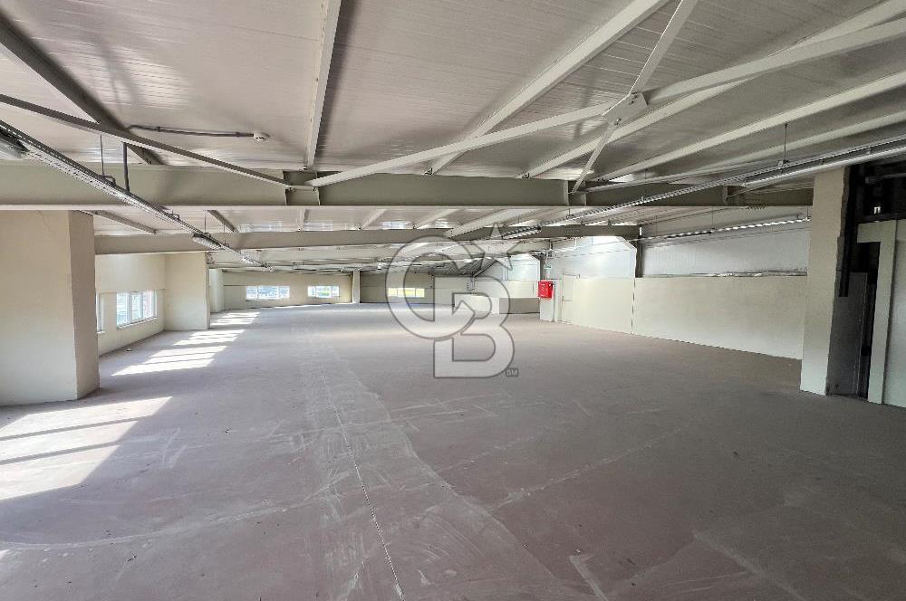 BURSA, GEMLİK SERBEST BÖLGE'de SATILIK FABRİKA, ÜRETİM TESİSİ