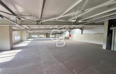 BURSA, GEMLİK SERBEST BÖLGE'de SATILIK FABRİKA, ÜRETİM TESİSİ