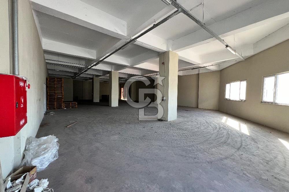 BURSA, GEMLİK SERBEST BÖLGE'de SATILIK FABRİKA, ÜRETİM TESİSİ