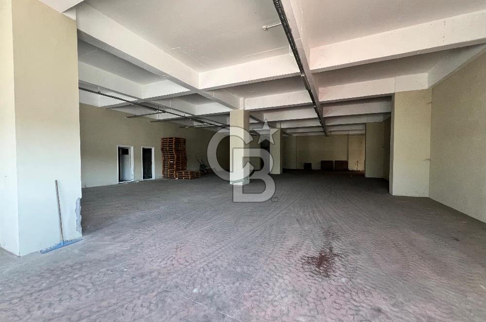 BURSA, GEMLİK SERBEST BÖLGE'de SATILIK FABRİKA, ÜRETİM TESİSİ
