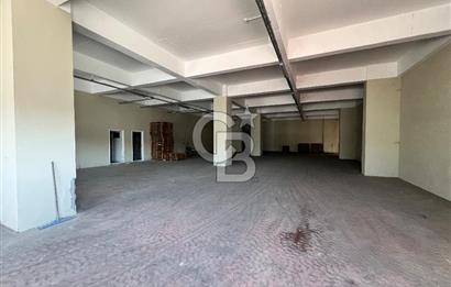 BURSA, GEMLİK SERBEST BÖLGE'de SATILIK FABRİKA, ÜRETİM TESİSİ