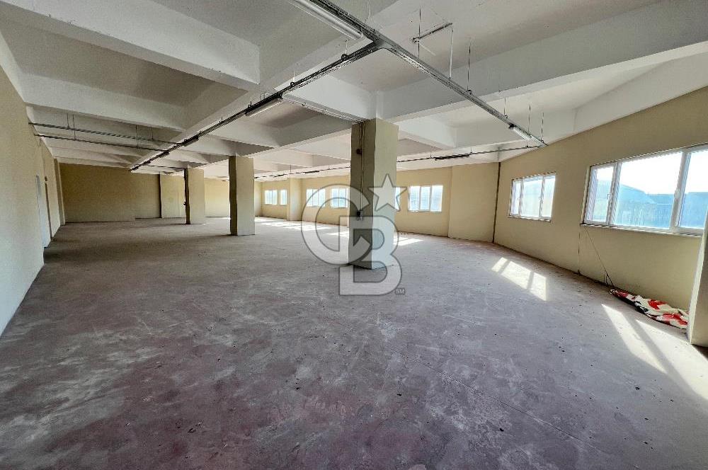 BURSA, GEMLİK SERBEST BÖLGE'de SATILIK FABRİKA, ÜRETİM TESİSİ