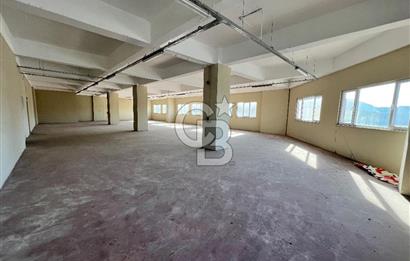 BURSA, GEMLİK SERBEST BÖLGE'de SATILIK FABRİKA, ÜRETİM TESİSİ