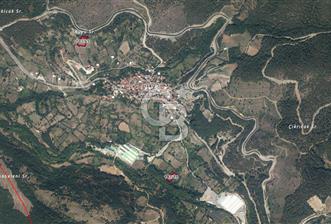 CB CLASS SATILIK KADASTRO YOLU MEVCUT ARAZİ - 8 - 311433