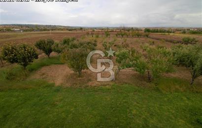 CB OPİA'DAN BOZKUŞTA MERKEZE 10 KM. VİLLANIZ SİZİ BEKLİYOR