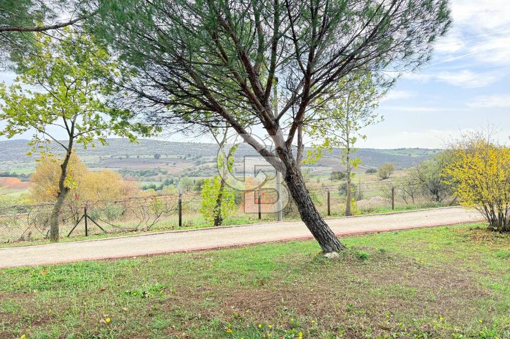 CB KİNG'DEN NAİPLİ MAHALLESİ ÇAĞDAŞKENT SİTESİ 6+1 SATILIK VİLLA