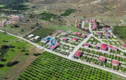 Seferihisar, Camikebir Mah. Satılık 317 m2 Kooperatif Bahçesi veTaş Evi