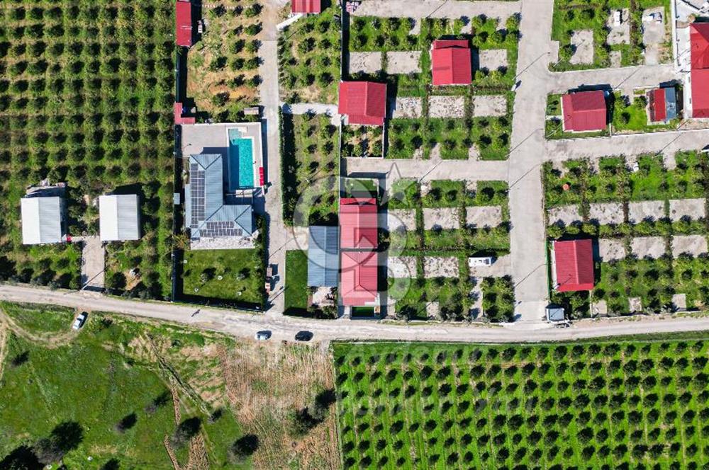Seferihisar, Camikebir Mah. Satılık 317 m2 Kooperatif Bahçesi veTaş Evi