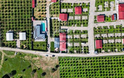 Seferihisar, Camikebir Mah. Satılık 317 m2 Kooperatif Bahçesi veTaş Evi