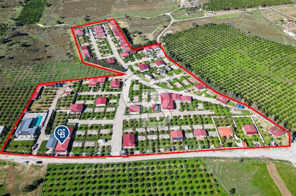 Seferihisar, Camikebir Mah. Satılık 317 m2 Kooperatif Bahçesi veTaş Evi