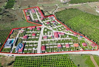 Seferihisar, Camikebir Mah. Satılık 317 m2 Kooperatif Bahçesi veTaş Evi - 5 - 311422