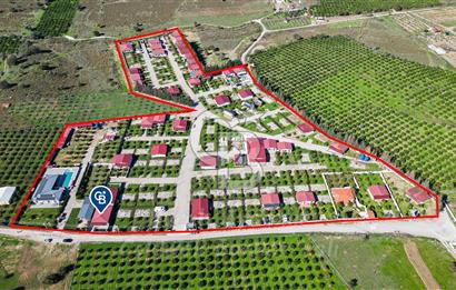 Seferihisar, Camikebir Mah. Satılık 317 m2 Kooperatif Bahçesi veTaş Evi