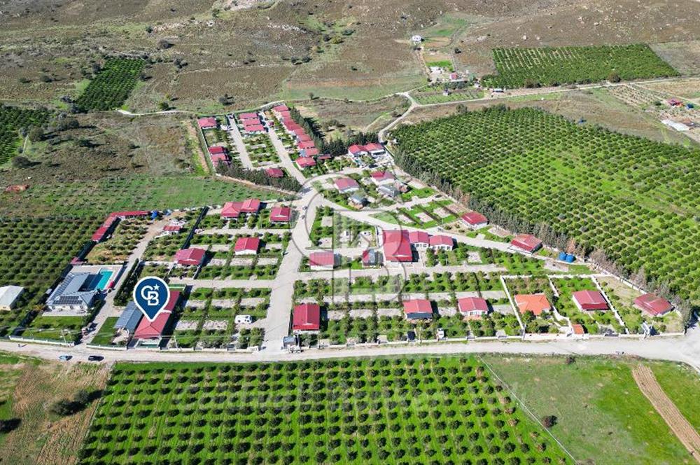 Seferihisar, Camikebir Mah. Satılık 317 m2 Kooperatif Bahçesi veTaş Evi