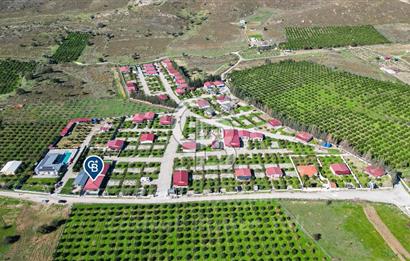 Seferihisar, Camikebir Mah. Satılık 317 m2 Kooperatif Bahçesi veTaş Evi