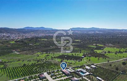 Seferihisar, Camikebir Mah. Satılık 317 m2 Kooperatif Bahçesi veTaş Evi