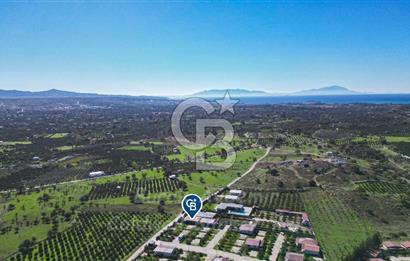 Seferihisar, Camikebir Mah. Satılık 317 m2 Kooperatif Bahçesi veTaş Evi