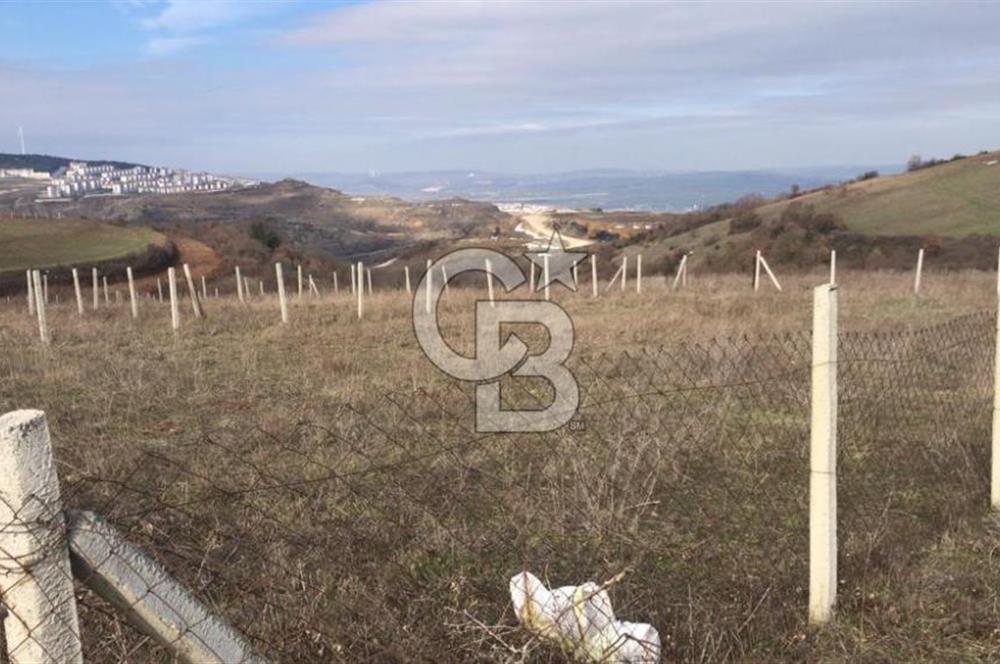 Çatalca Çakıl Köyünde Köşe Parsel, Yolu Açık, Yatırımlık Tarla!