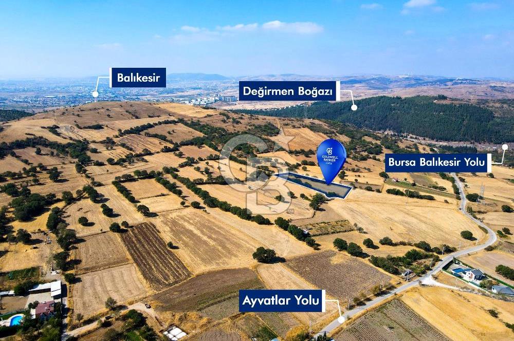 AYVATLAR'DA SATILIK 5.026 m² YATIRIMA UYGUN TARLA