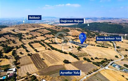 AYVATLAR'DA SATILIK 5.026 m² YATIRIMA UYGUN TARLA