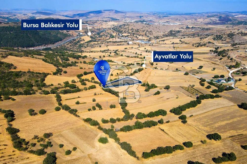 AYVATLAR'DA SATILIK 5.026 m² YATIRIMA UYGUN TARLA