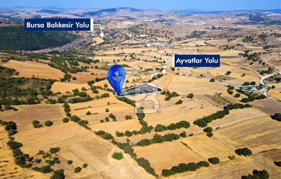 AYVATLAR'DA SATILIK 5.026 m² YATIRIMA UYGUN TARLA