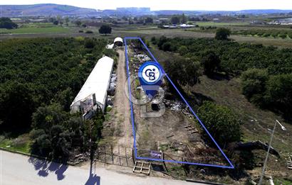 BURSA, BADEMLİ'de BİLFEN OKULU YAKINI KİRALIK TARLA