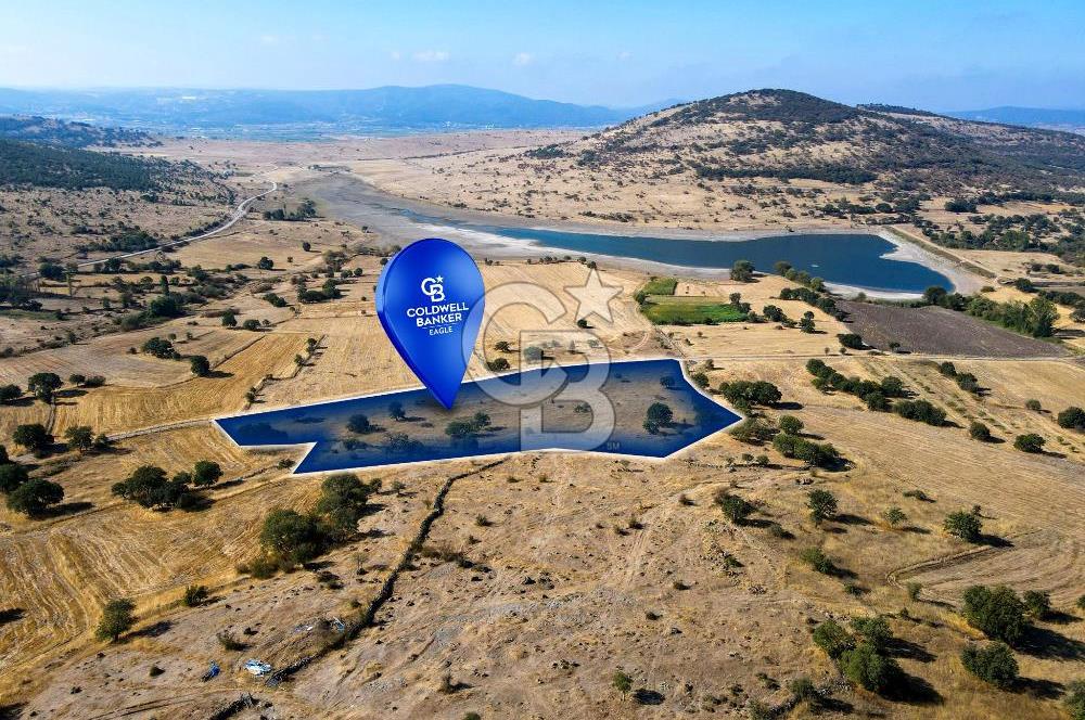 BALYA NARLIDA 16.313 M2 YOLA CEPHE TARLA