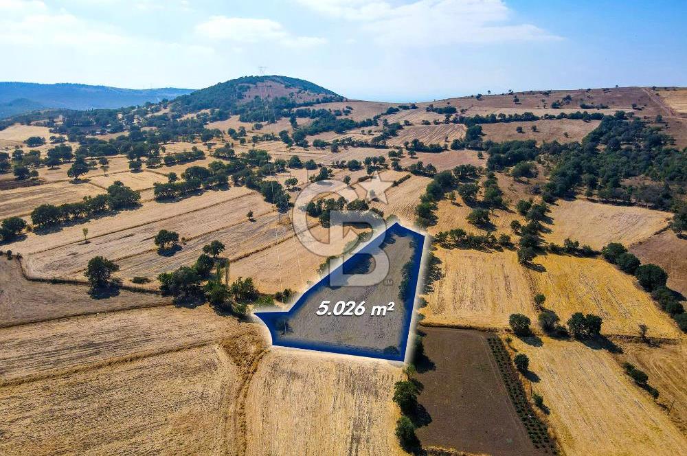 AYVATLAR'DA SATILIK 5.026 m² YATIRIMA UYGUN TARLA