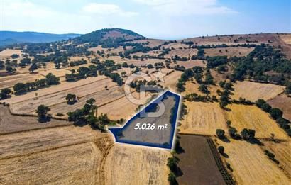AYVATLAR'DA SATILIK 5.026 m² YATIRIMA UYGUN TARLA