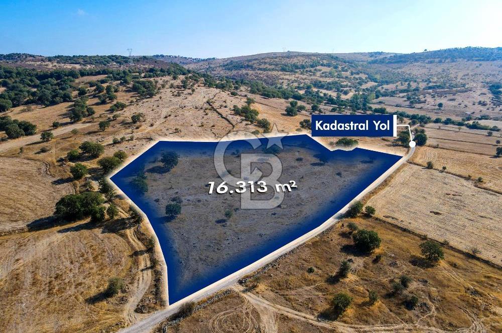 BALYA NARLIDA 16.313 M2 YOLA CEPHE TARLA