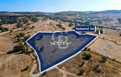 BALYA NARLIDA 16.313 M2 YOLA CEPHE TARLA