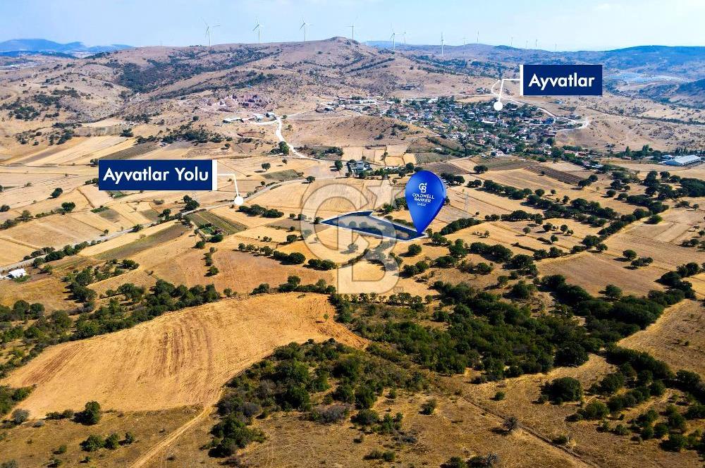 AYVATLAR'DA SATILIK 5.026 m² YATIRIMA UYGUN TARLA