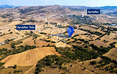 AYVATLAR'DA SATILIK 5.026 m² YATIRIMA UYGUN TARLA