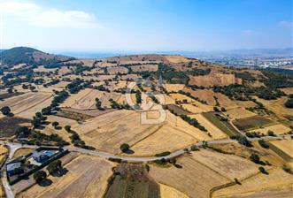 AYVATLAR'DA SATILIK 5.026 m² YATIRIMA UYGUN TARLA - 10 - 311412