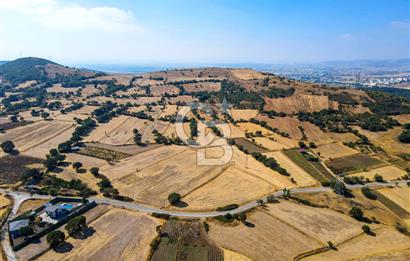 AYVATLAR'DA SATILIK 5.026 m² YATIRIMA UYGUN TARLA