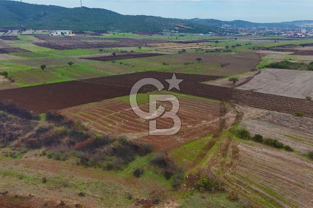 Çanakkale Biga Kocagür Köyünde Satılık 6500 m2 Tarla !