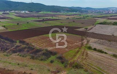 Çanakkale Biga Kocagür Köyünde Satılık 6500 m2 Tarla !