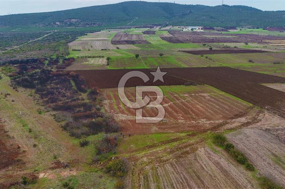 Çanakkale Biga Kocagür Köyünde Satılık 6500 m2 Tarla !