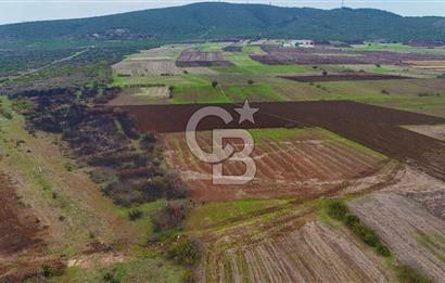 Çanakkale Biga Kocagür Köyünde Satılık 6500 m2 Tarla !