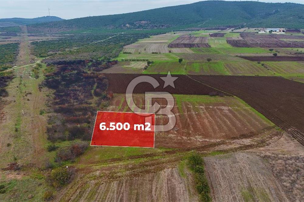 Çanakkale Biga Kocagür Köyünde Satılık 6500 m2 Tarla !