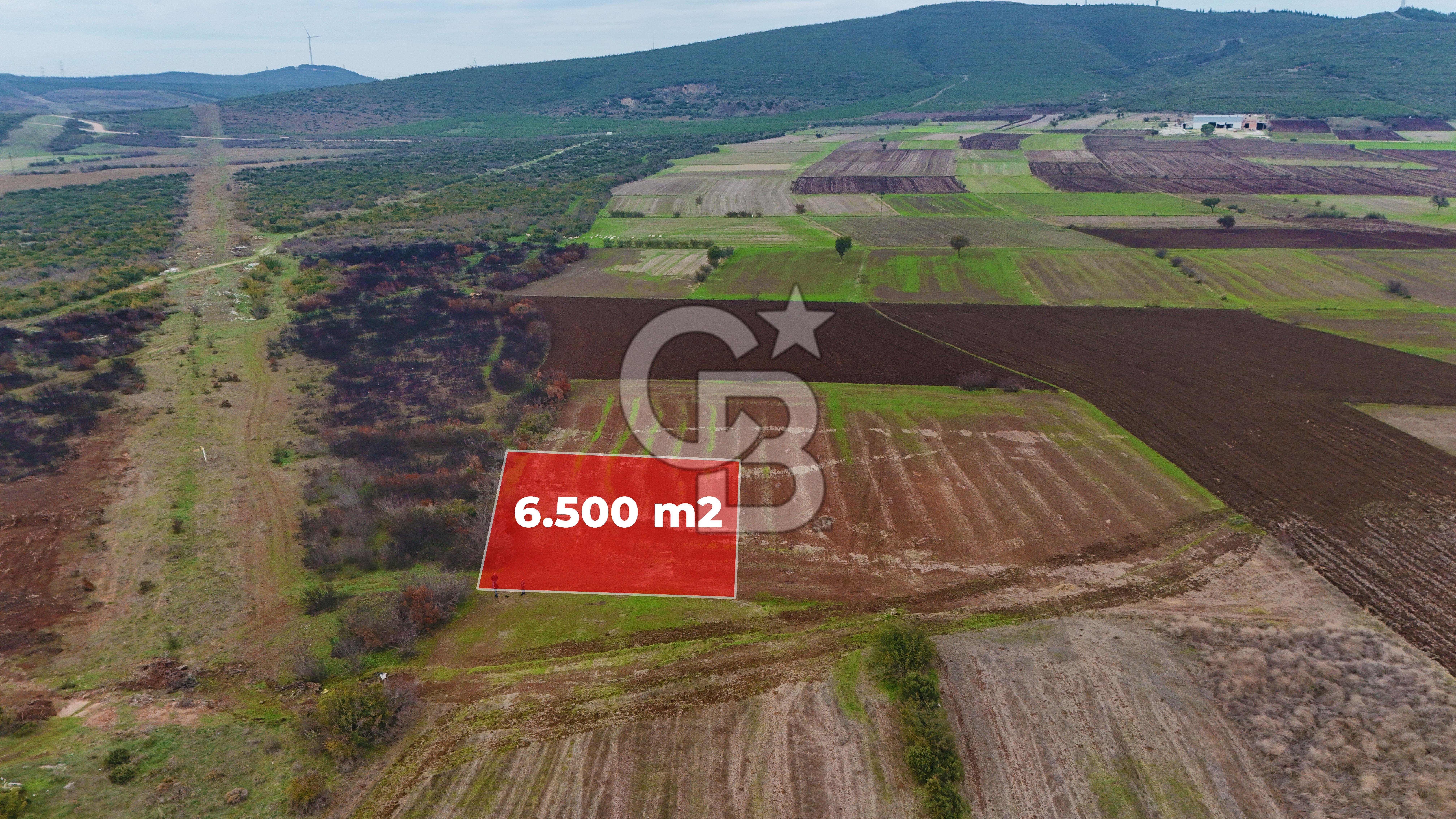 Çanakkale Biga Kocagür Köyünde Satılık 6500 m2 Tarla !