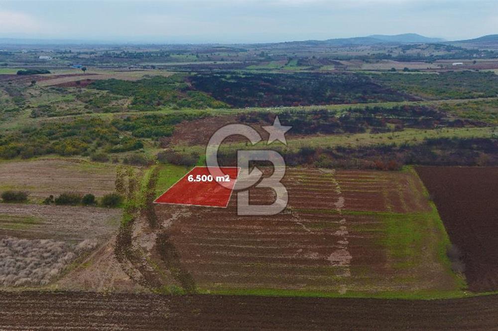 Çanakkale Biga Kocagür Köyünde Satılık 6500 m2 Tarla !
